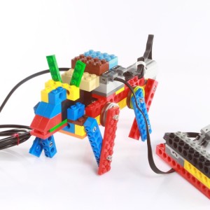 Hondje Robo Bricks Lego Haarlem